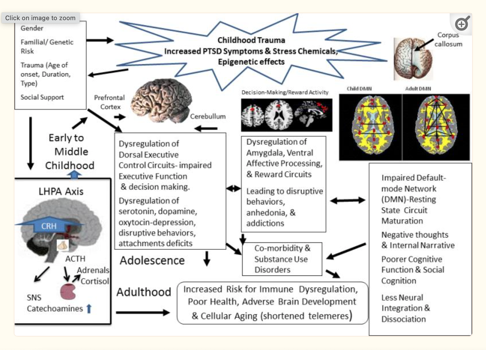 Childhood Trauma diagram effects