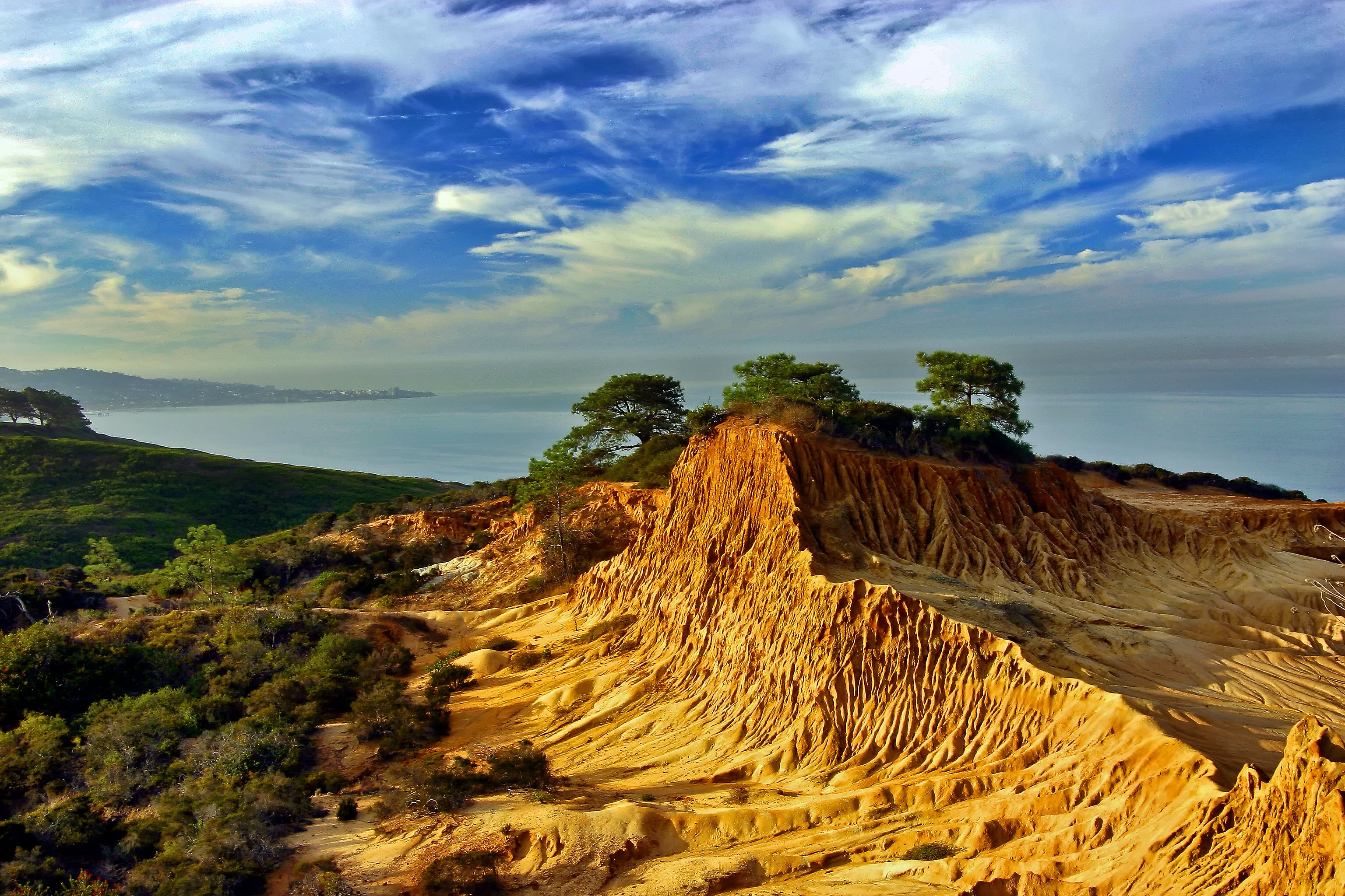 Torrey Pines in San Diego